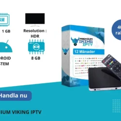 12 manader IPTV and TVIP-S 605